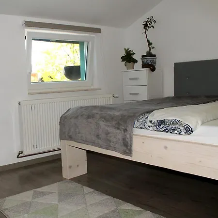 Oina Studio Cluj-Napoca