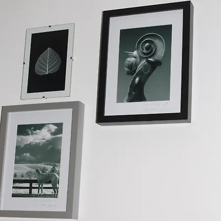 Aparthotel Oina Studio Cluj-Napoca