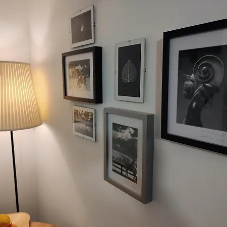 Oina Studio קלוז'-נאפוקה